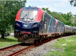 313 - Amtrak Silver Meteor
